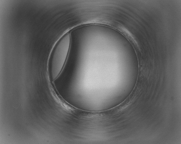 X0000074030892200608211133