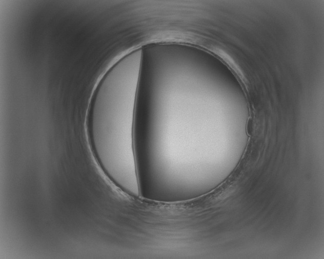 X0000074030901200608211133