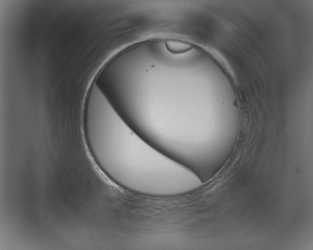 X0000074030903200608211133