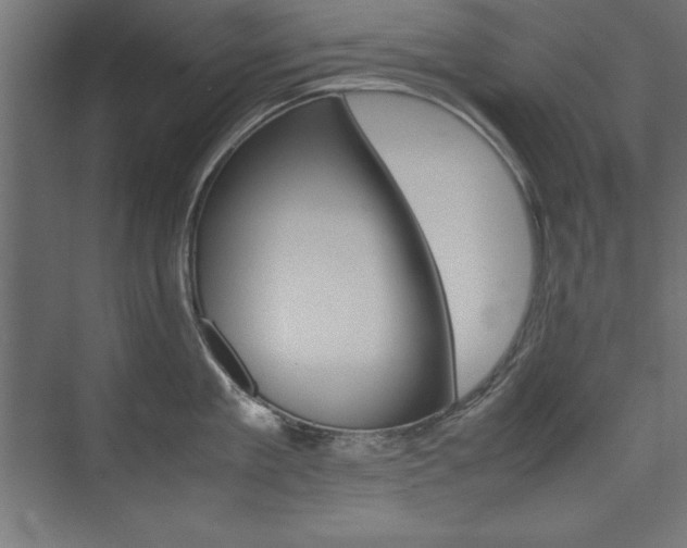 X0000074030909200608211133