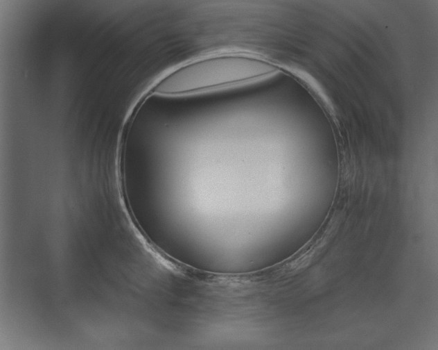 X0000074030910200608211133
