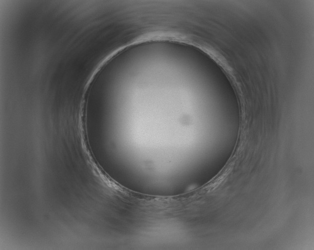 X0000074030912200608211133