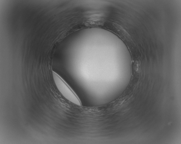 X0000074030915200608211132