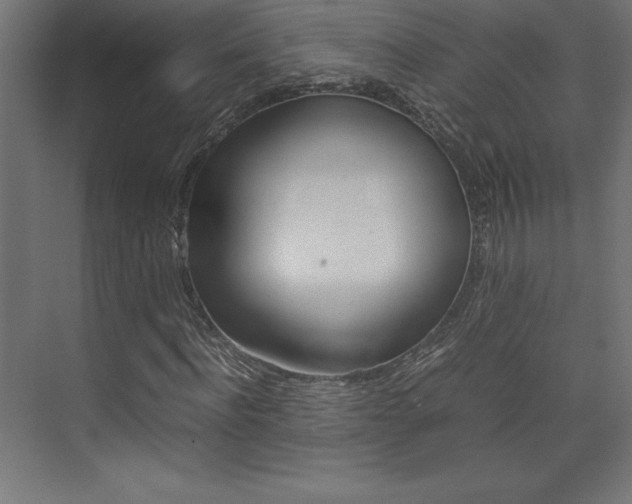 X0000074030916200608211132