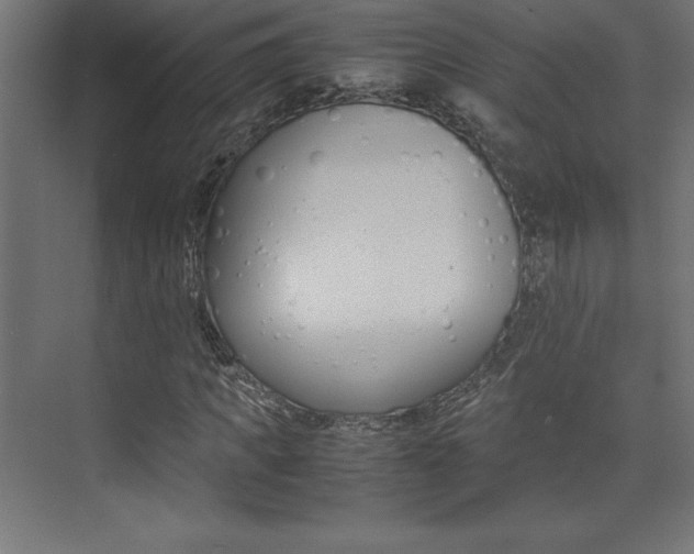 X0000074030917200608211132