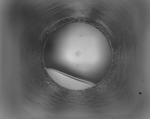 X0000074030919200608211132