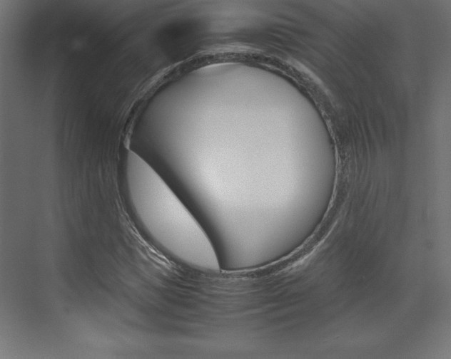 X0000074030921200608211132