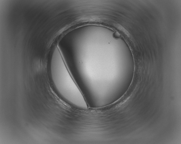X0000074030922200608211132