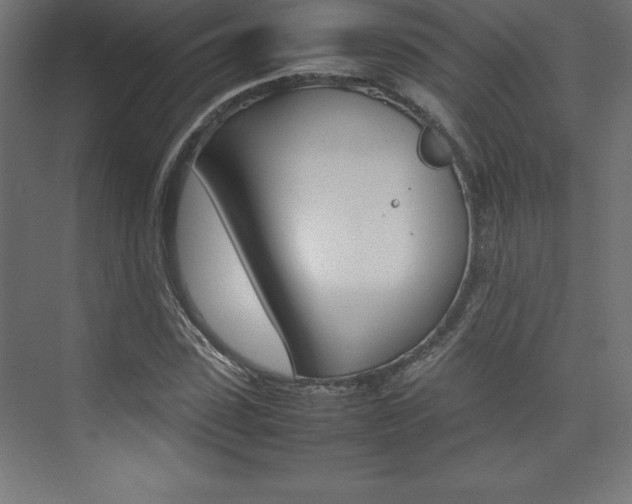 X0000074030923200608211132