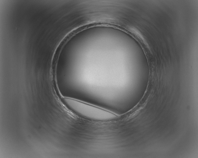 X0000074030924200608211132