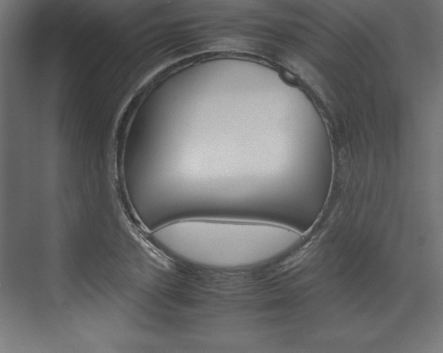 X0000074030931200608211132