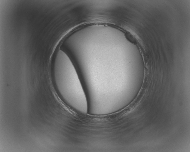 X0000074030933200608211132