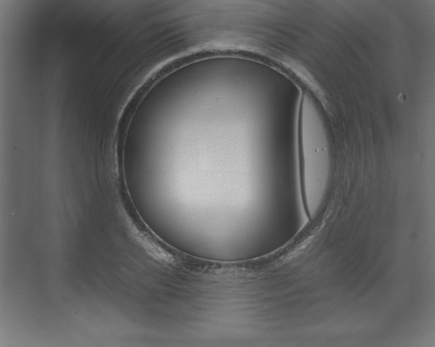 X0000074030934200608211132
