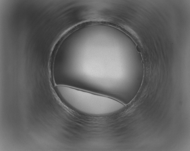 X0000074030935200608211132