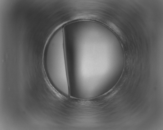 X0000074030940200608211132
