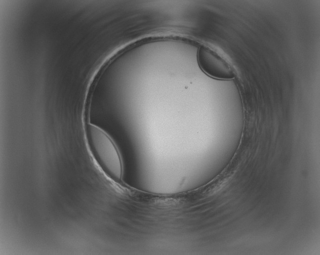 X0000074030943200608211132