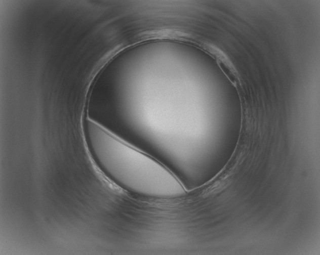X0000074030946200608211132