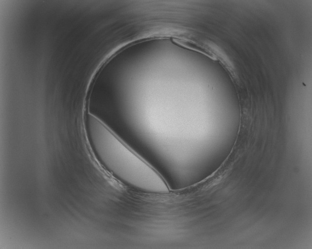 X0000074030948200608211132