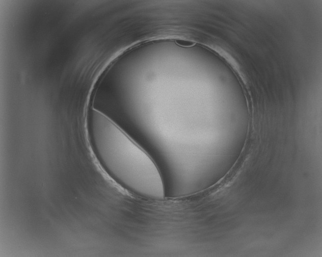X0000074030949200608211132