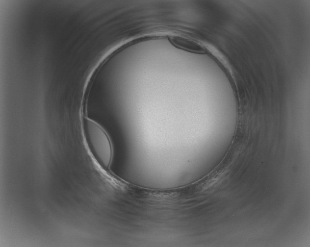 X0000074030951200608211133