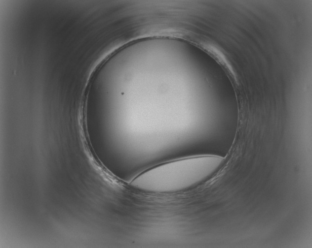 X0000074030952200608211133