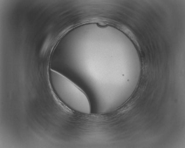 X0000074030954200608211133