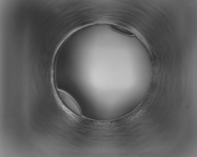 X0000074030955200608211133