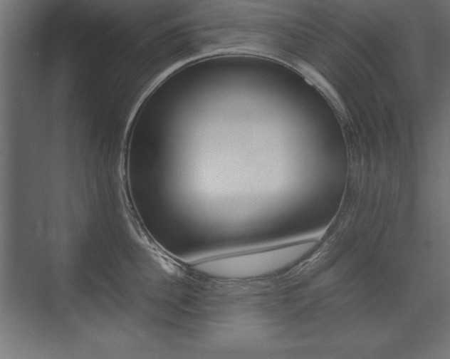 X0000074030956200608211133