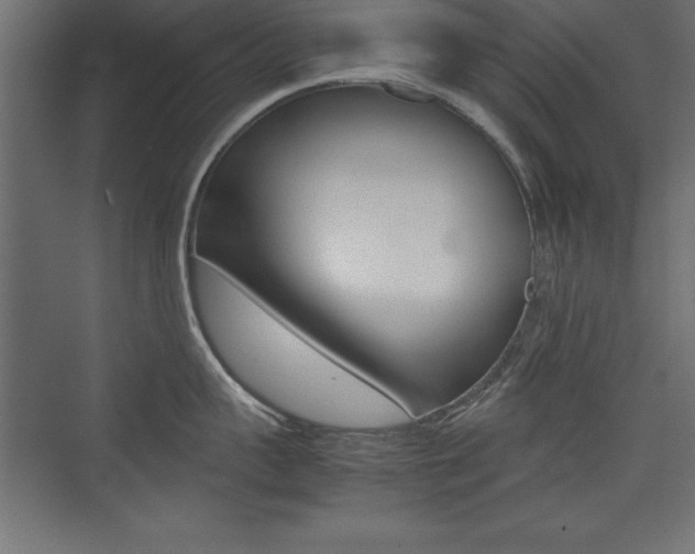 X0000074030959200608211133