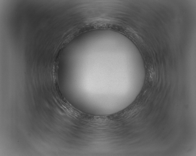 X0000074030964200608211132