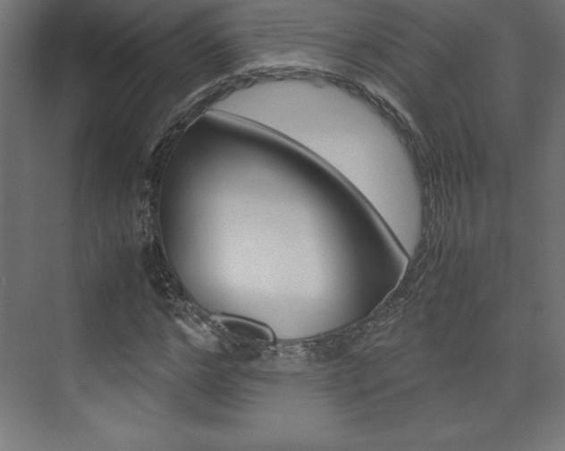 X0000074030968200608211132
