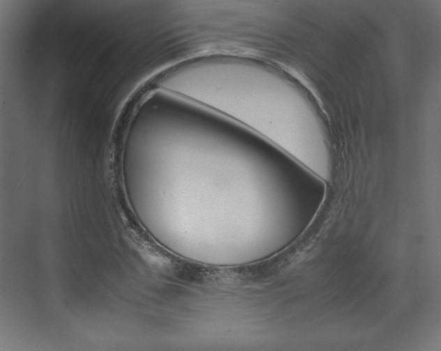 X0000074030971200608211132