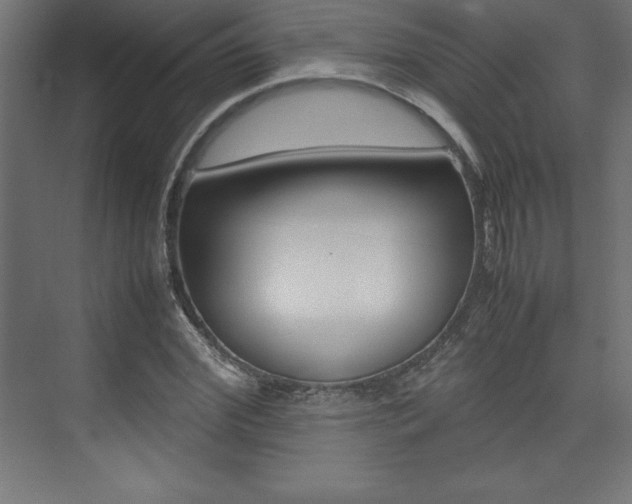 X0000074030972200608211132