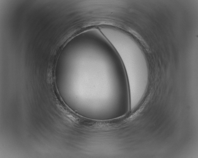X0000074030977200608211132