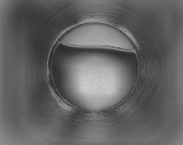 X0000074030980200608211132