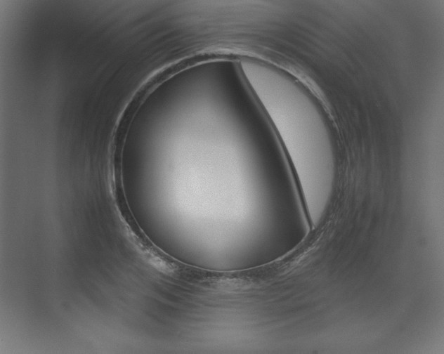 X0000074030984200608211131