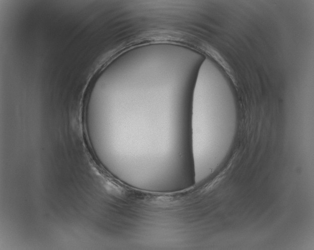 X0000074030986200608211131