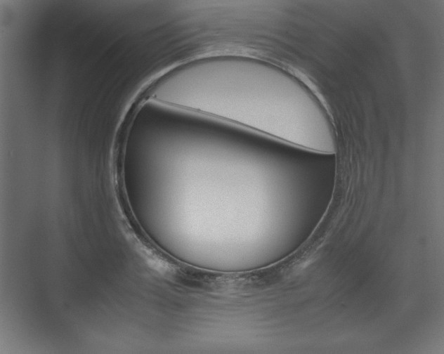 X0000074030987200608211131