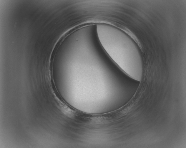 X0000074030988200608211131