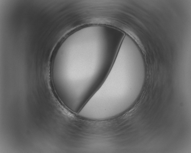 X0000074030992200608211131