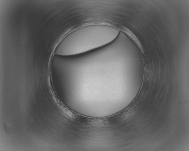 X0000074031002200608211131