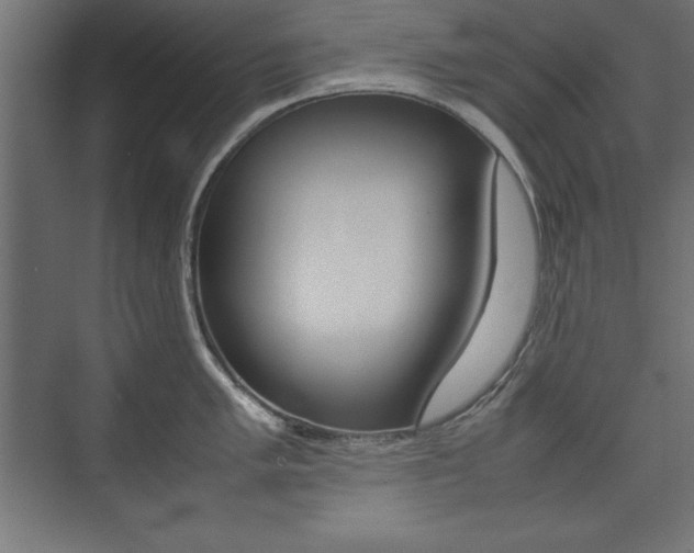 X0000074031005200608211131