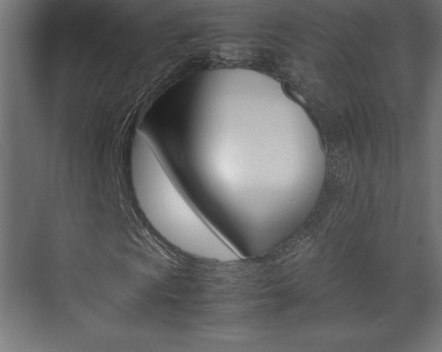 X0000074031009200608211130