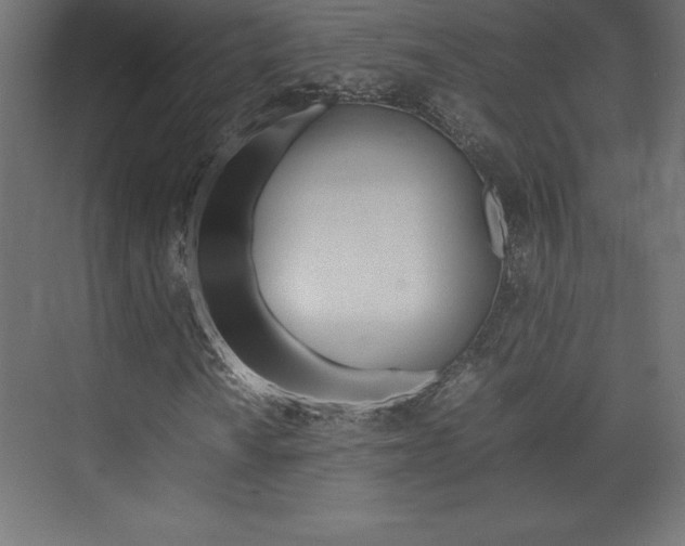 X0000074031010200608211130