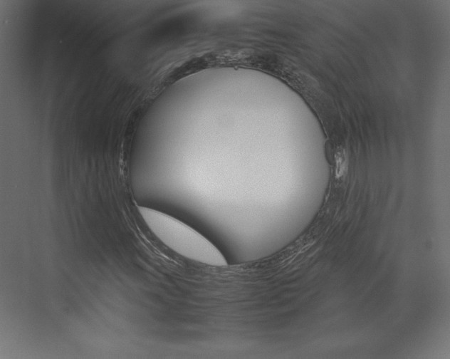 X0000074031011200608211130