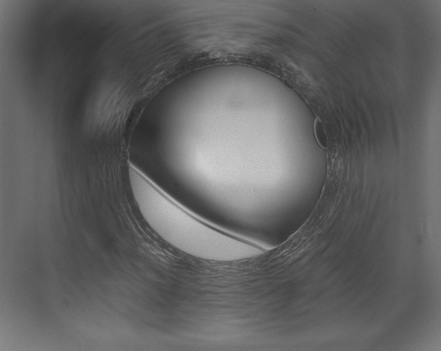 X0000074031012200608211130