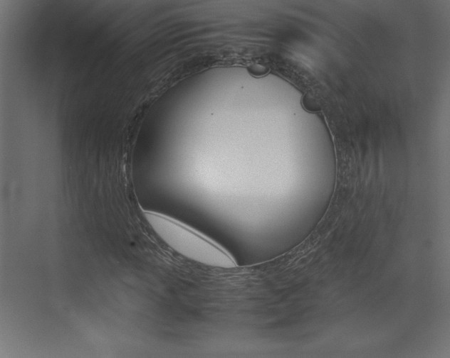 X0000074031013200608211130