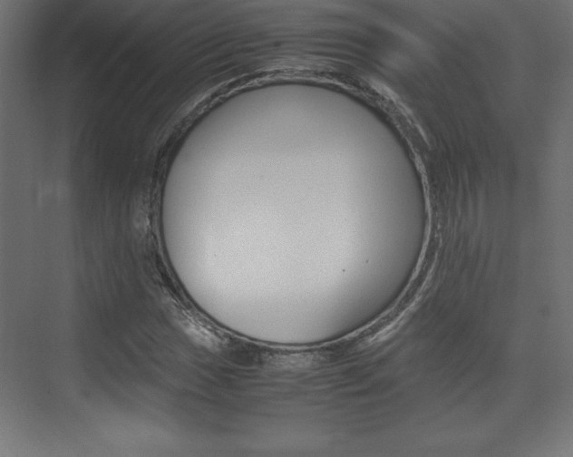 X0000074031017200608211130