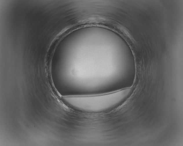 X0000074031018200608211130