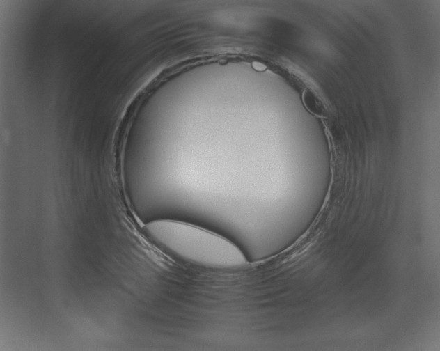 X0000074031023200608211130